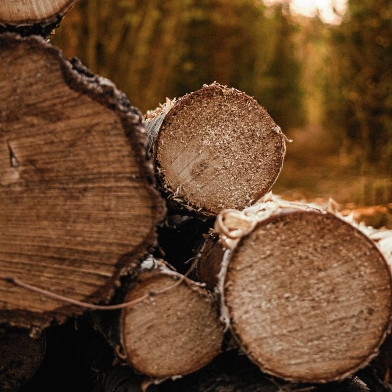 Айдентика столярной мастерской/фирменный стиль — Изображение №2 — Брендинг на Dprofile