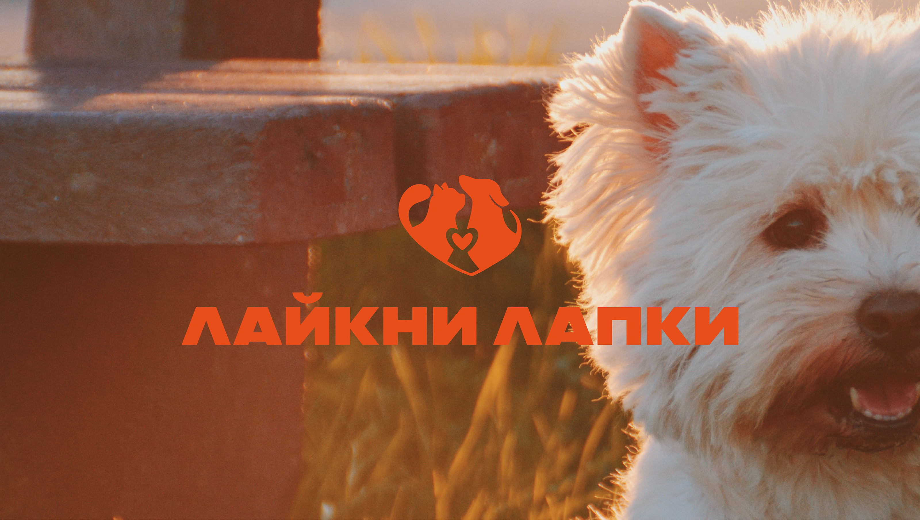 logo and naming for a pet store / логотип зоомагазина — Изображение №1 — Брендинг на Dprofile