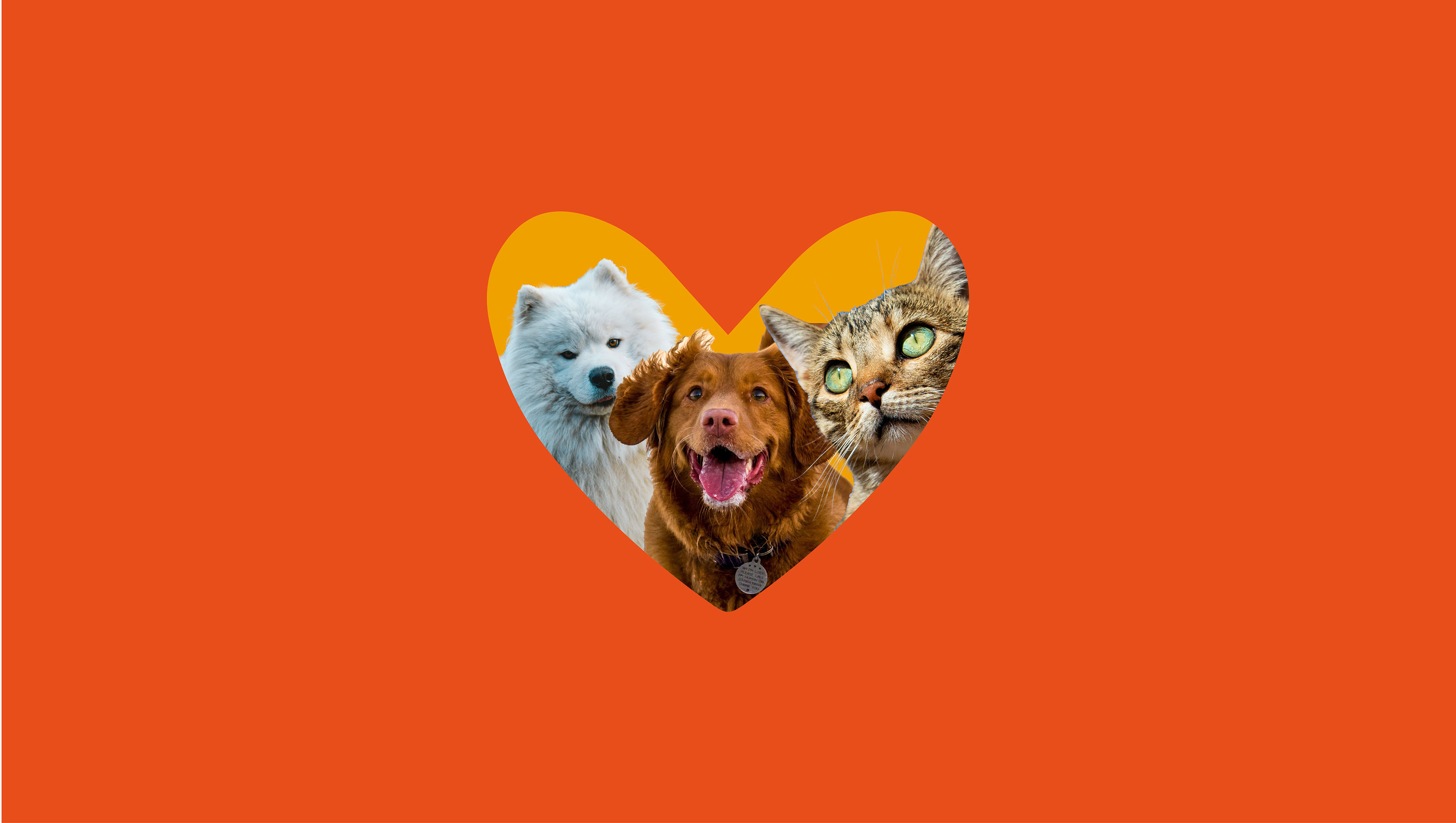 logo and naming for a pet store / логотип зоомагазина — Изображение №14 — Брендинг на Dprofile