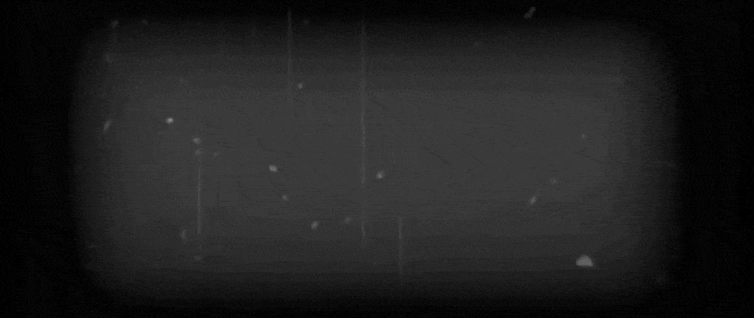 МЖАЛАЛАФИЛЬМ/Евгений Юфит — Изображение №26 — Графика, Анимация на Dprofile