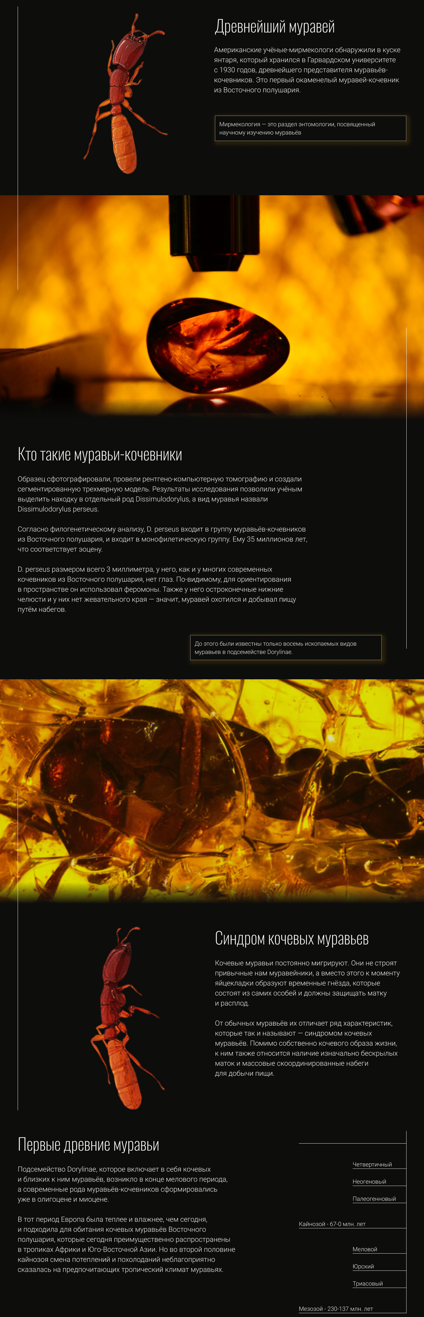 Лонгрид о научной находке — Изображение №2 — Интерфейсы, Анимация на Dprofile