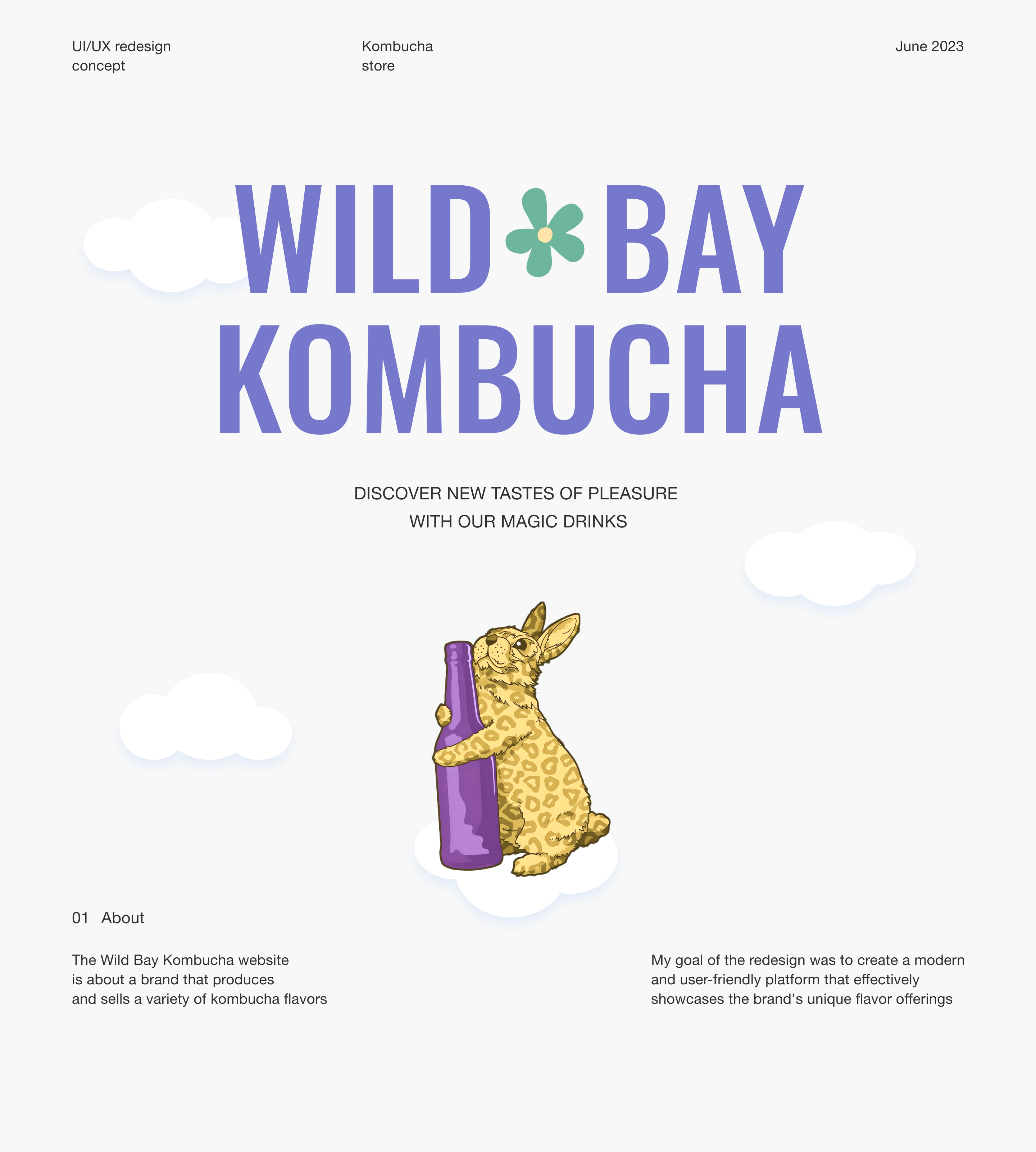 Wild Bay Kombucha / UI/UX Design — Изображение №1 — Интерфейсы на Dprofile