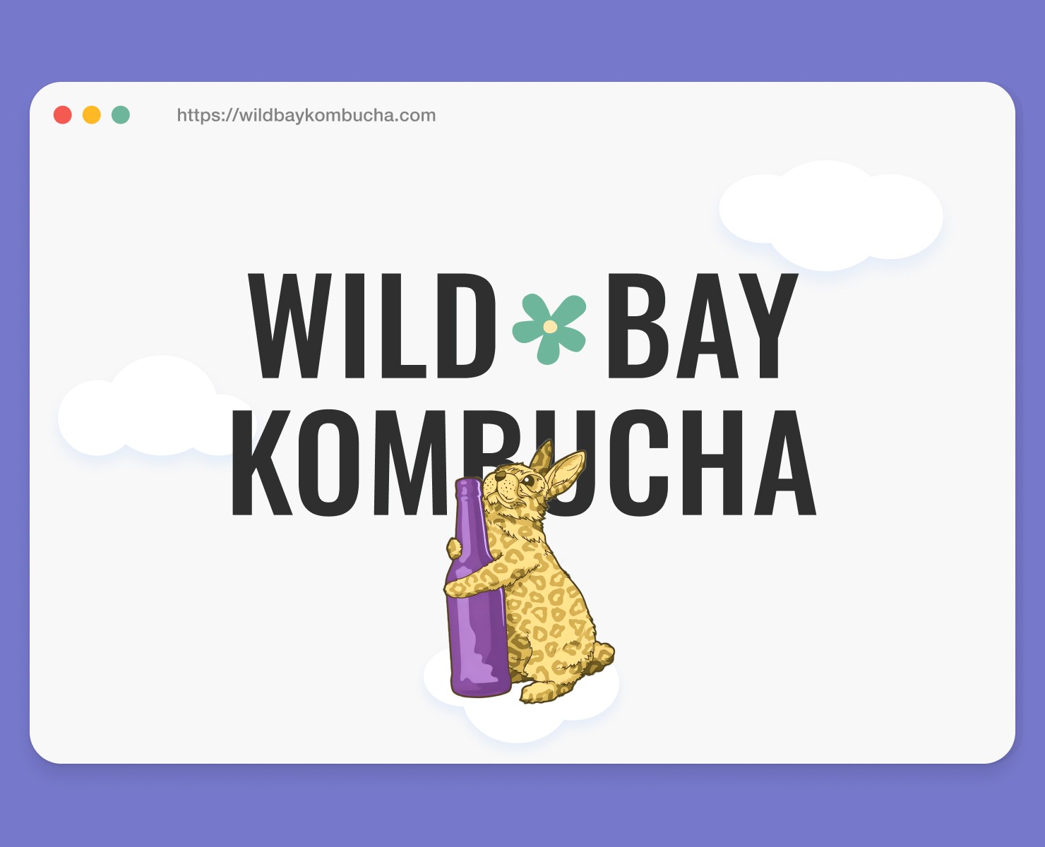 Wild Bay Kombucha / UI/UX Design на Dprofile
