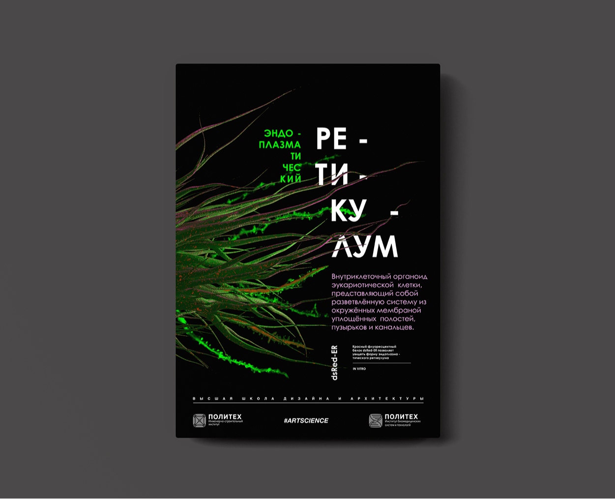 Плакат "эндоплазматический ретикулум" (Biology, Art&Science) на Dprofile