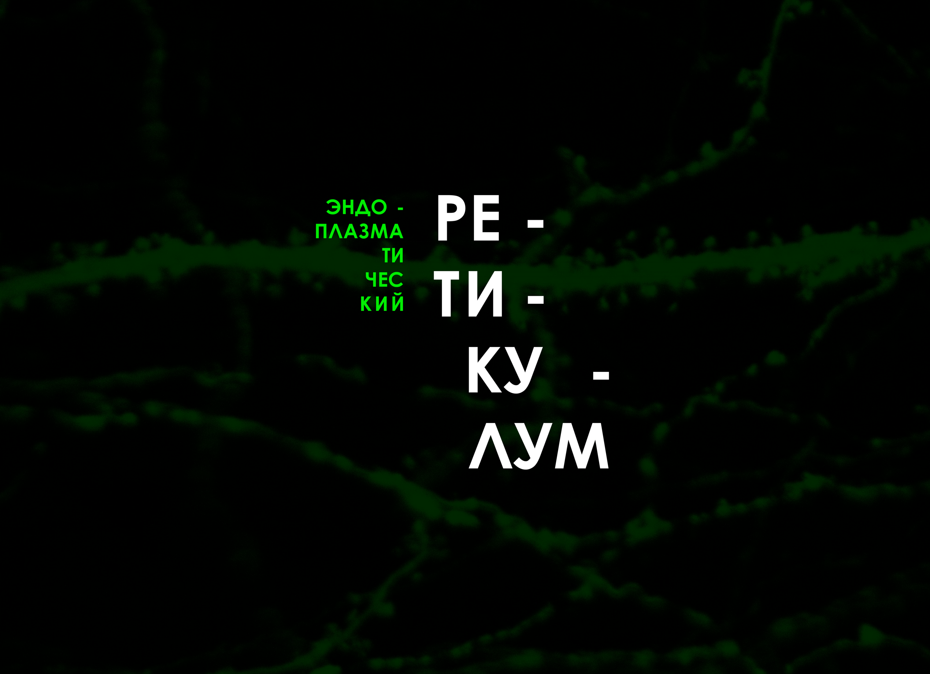 Плакат "эндоплазматический ретикулум" (Biology, Art&Science) — Изображение №1 — Графика, 3D на Dprofile
