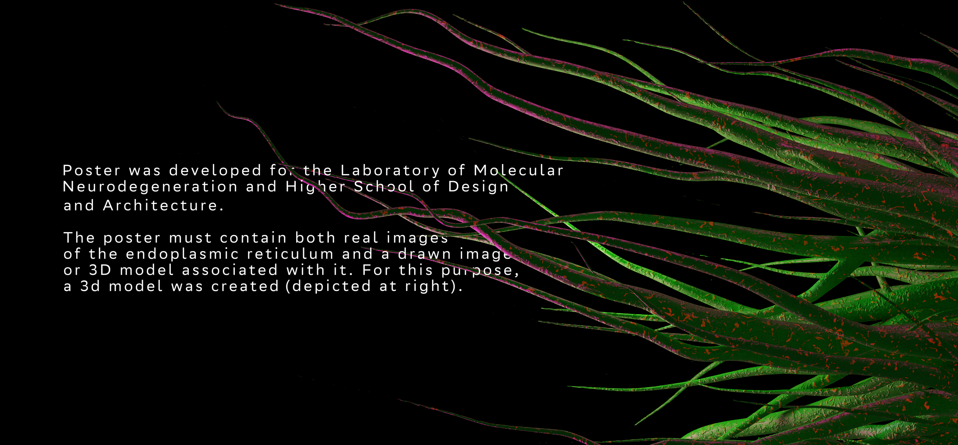 Плакат "эндоплазматический ретикулум" (Biology, Art&Science) — Изображение №2 — Графика, 3D на Dprofile