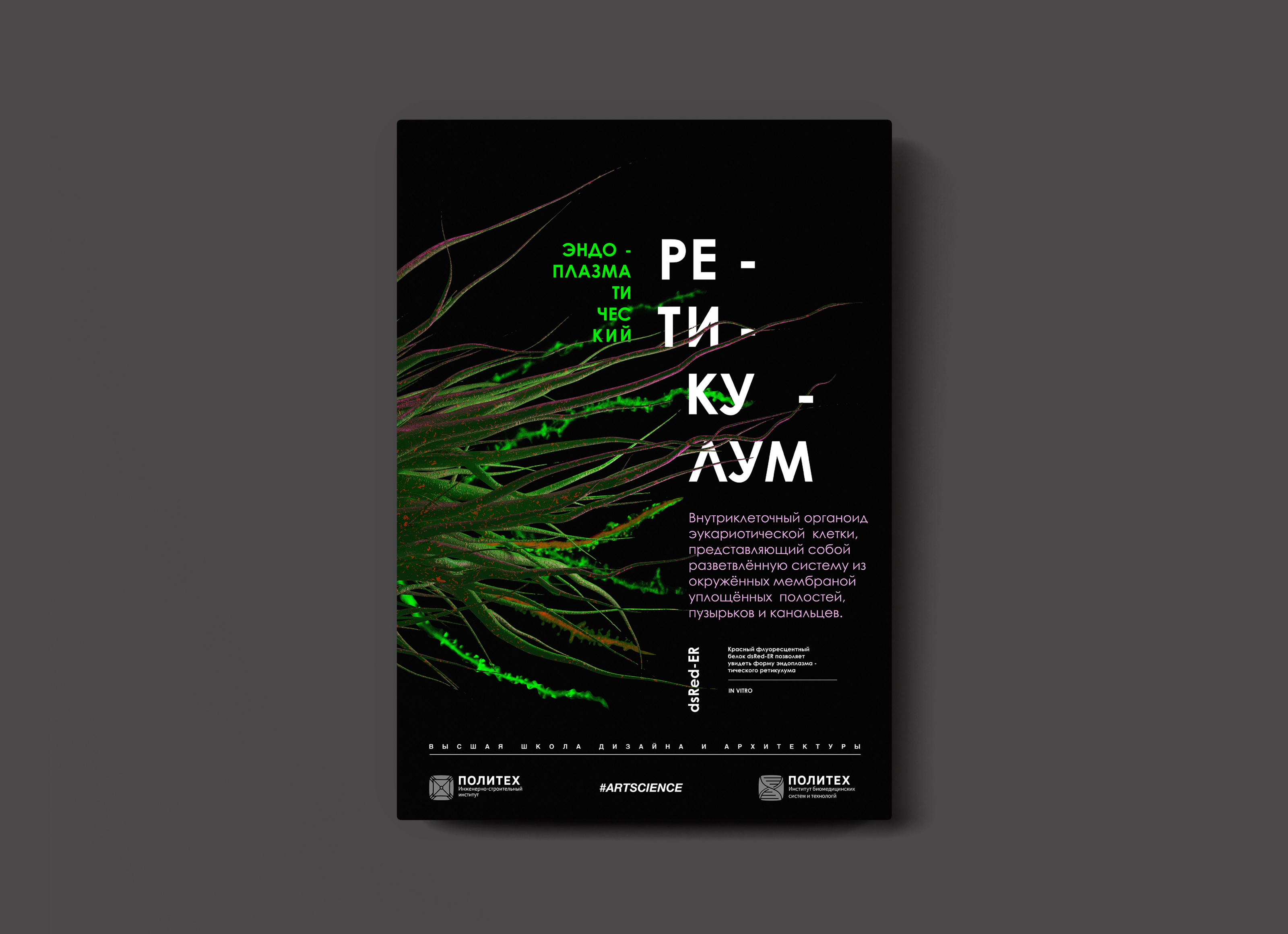 Плакат "эндоплазматический ретикулум" (Biology, Art&Science) — Изображение №3 — Графика, 3D на Dprofile