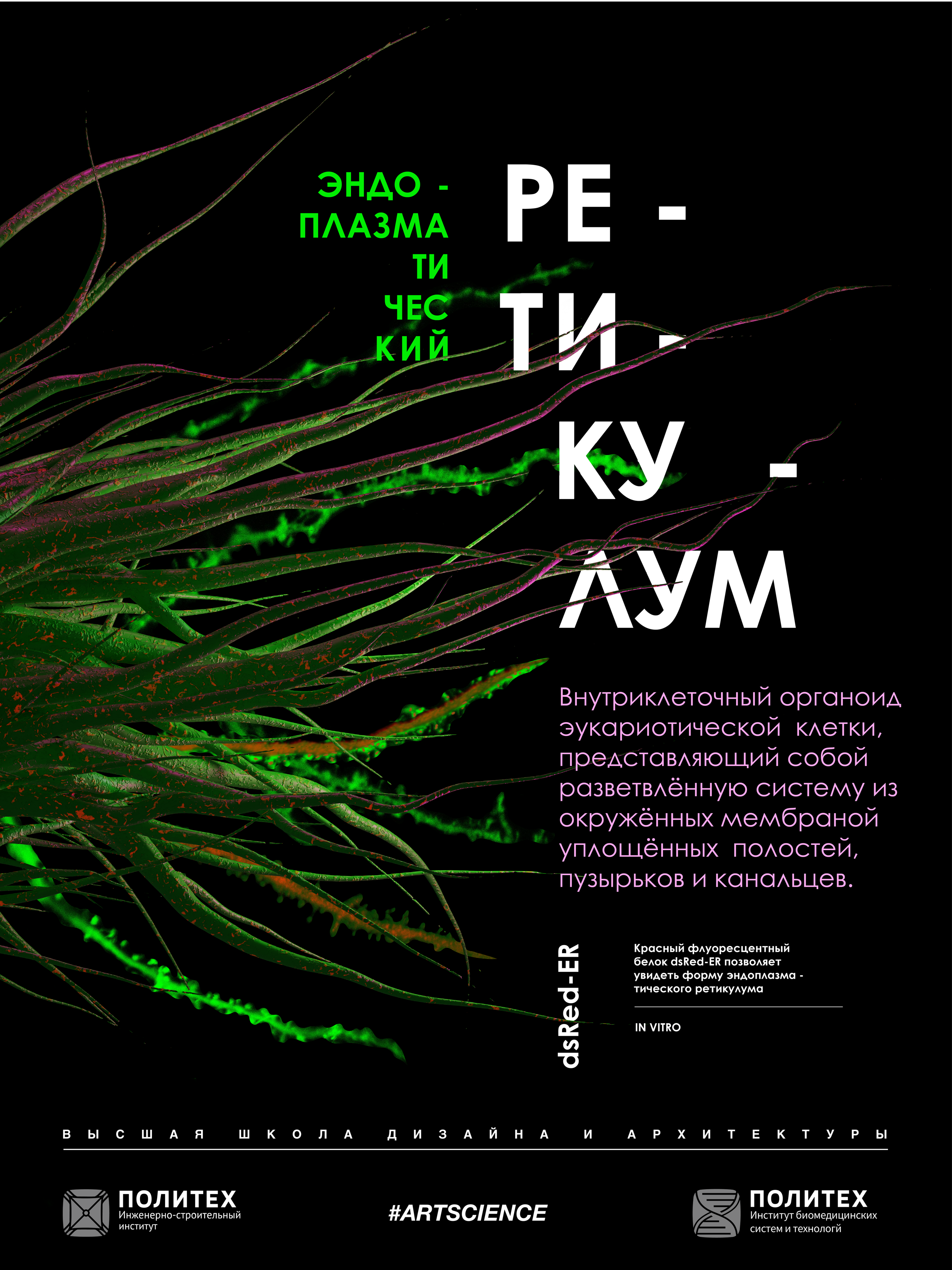 Плакат "эндоплазматический ретикулум" (Biology, Art&Science) — Изображение №4 — Графика, 3D на Dprofile