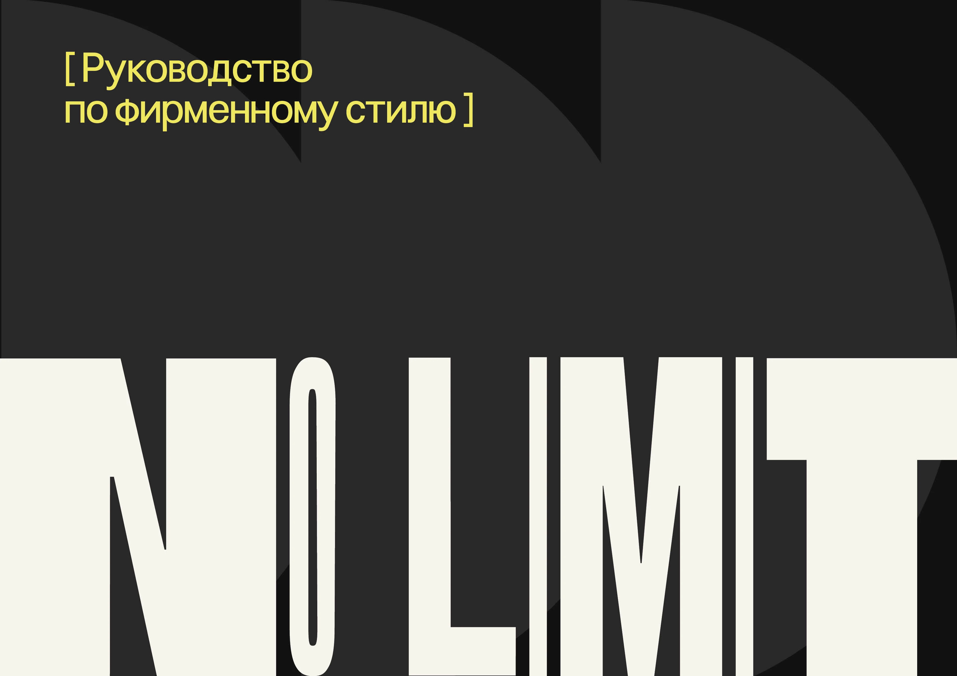 Brandbook / брендбук / Guideline — Изображение №2 — Брендинг, Графика на Dprofile