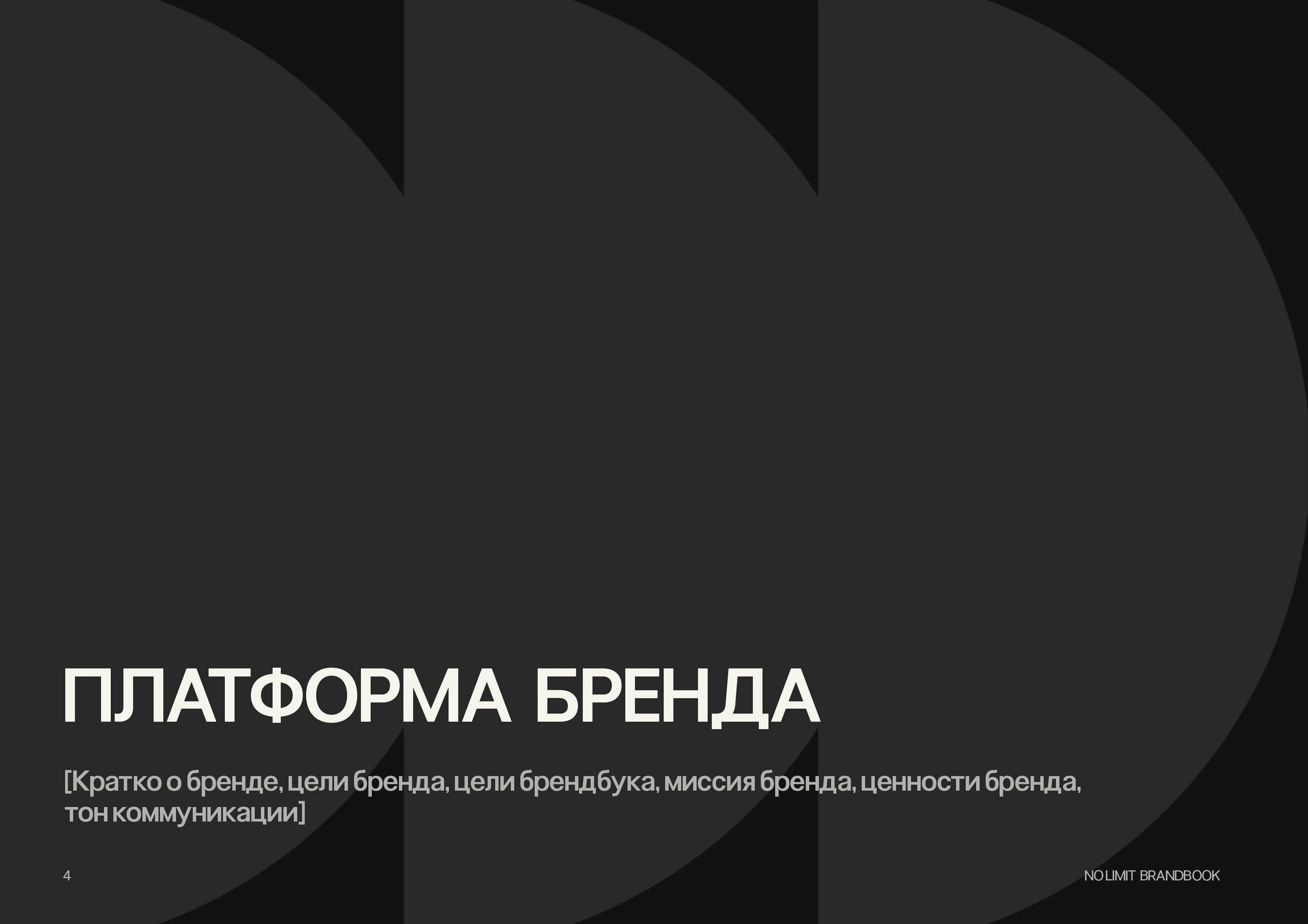 Brandbook / брендбук / Guideline — Изображение №5 — Брендинг, Графика на Dprofile