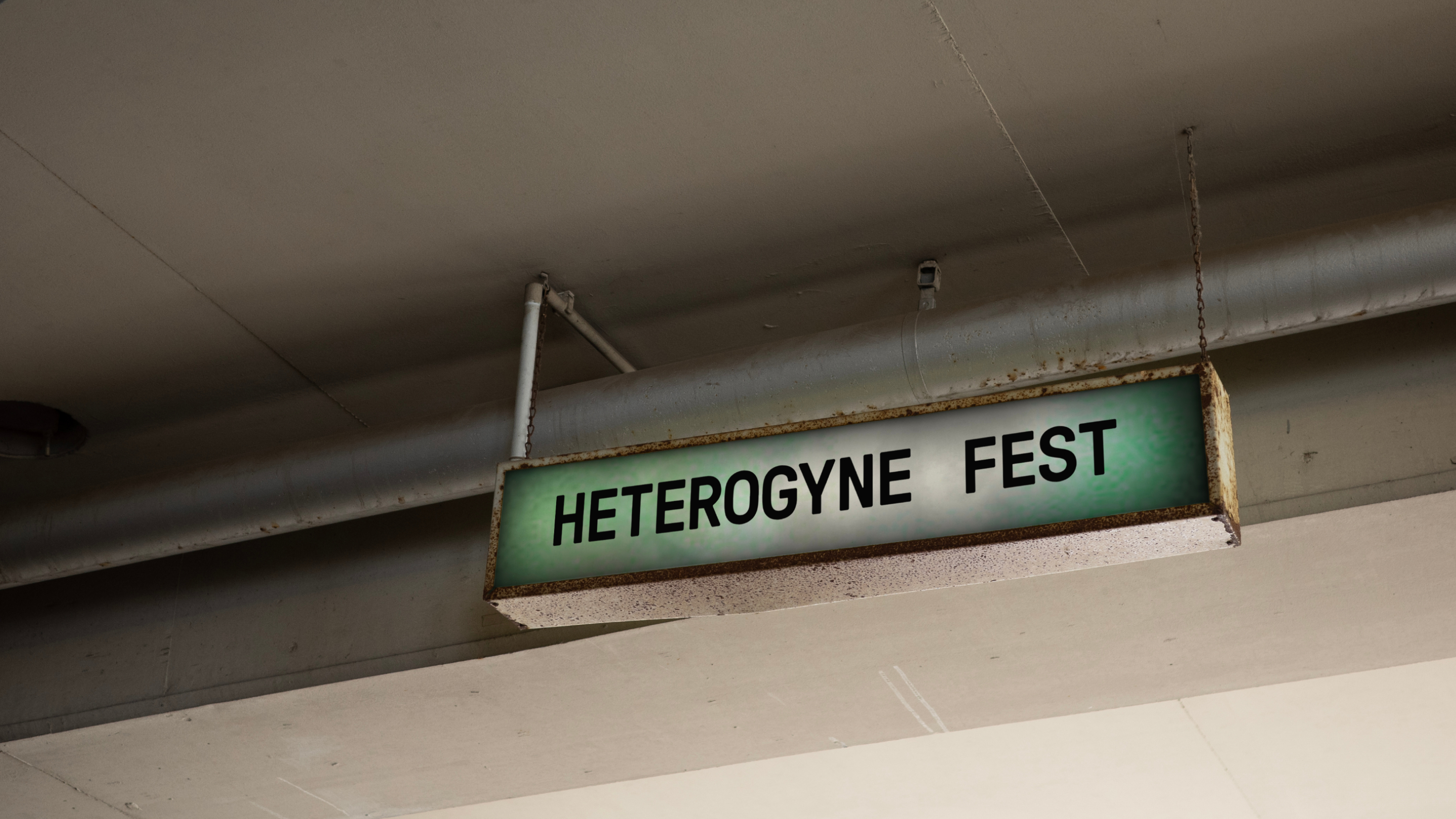 HETEROGYNE — фестиваль структурного кино — Изображение №6 — Брендинг, Графика на Dprofile