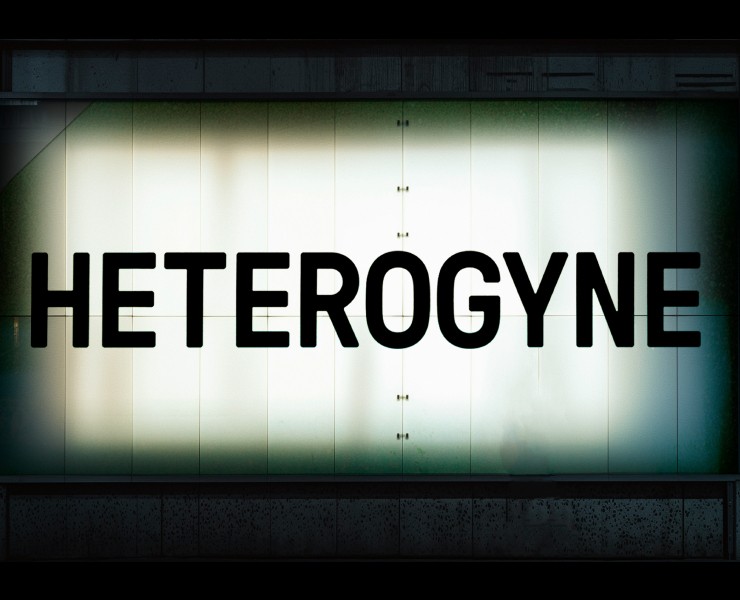 HETEROGYNE — фестиваль структурного кино — Брендинг, Графика на Dprofile