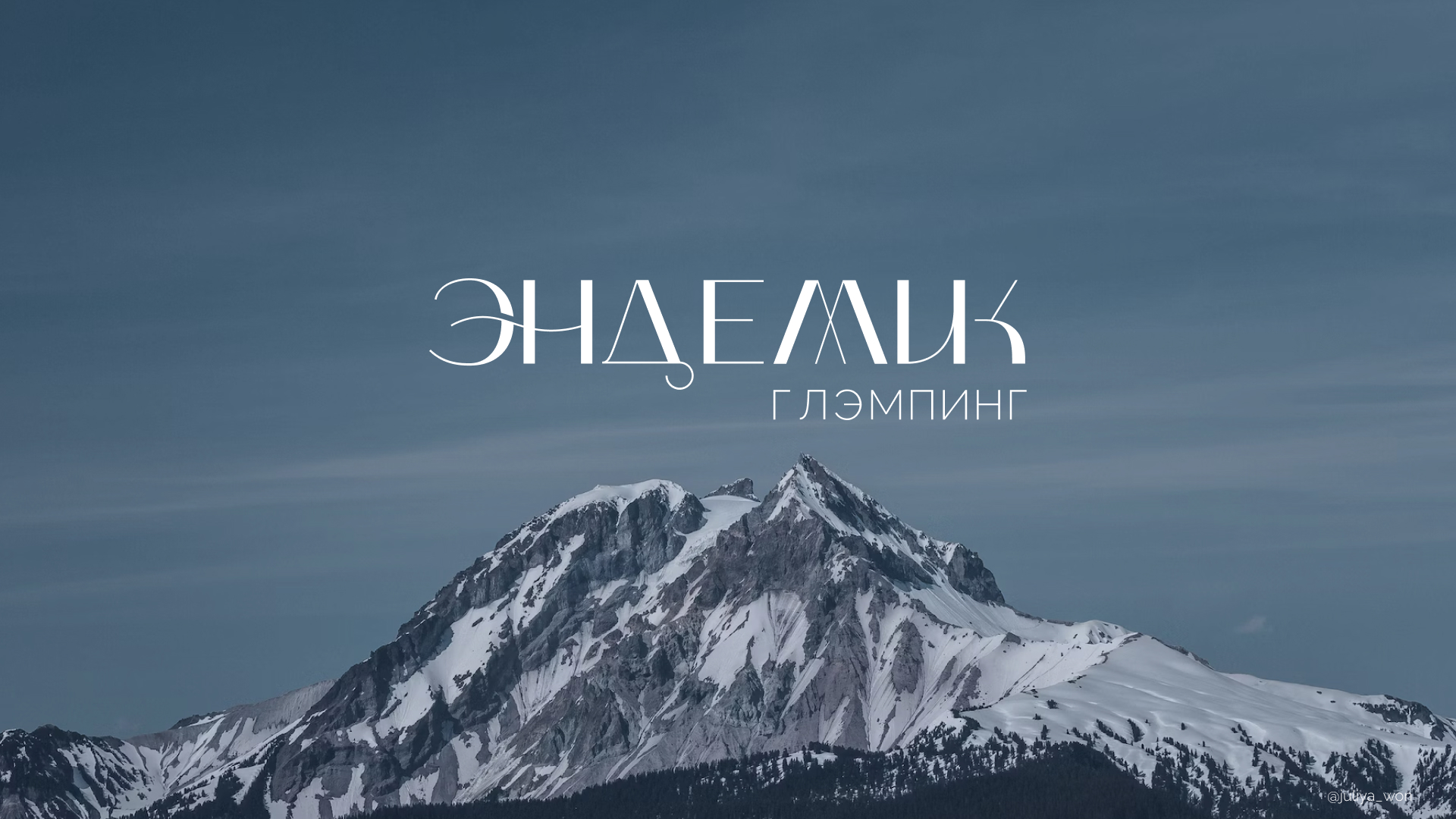 branding logo — Изображение №1 — Брендинг, Графика на Dprofile