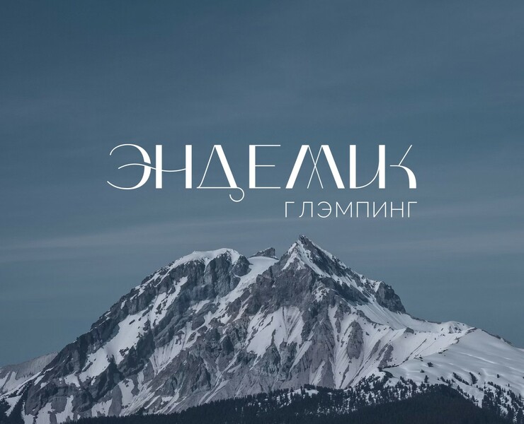branding logo на Dprofile