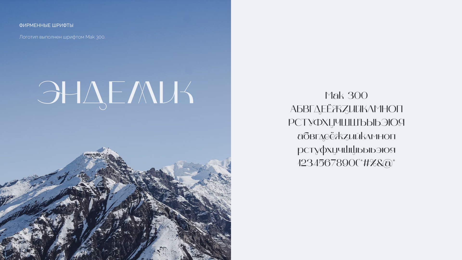 branding logo — Изображение №6 — Брендинг, Графика на Dprofile