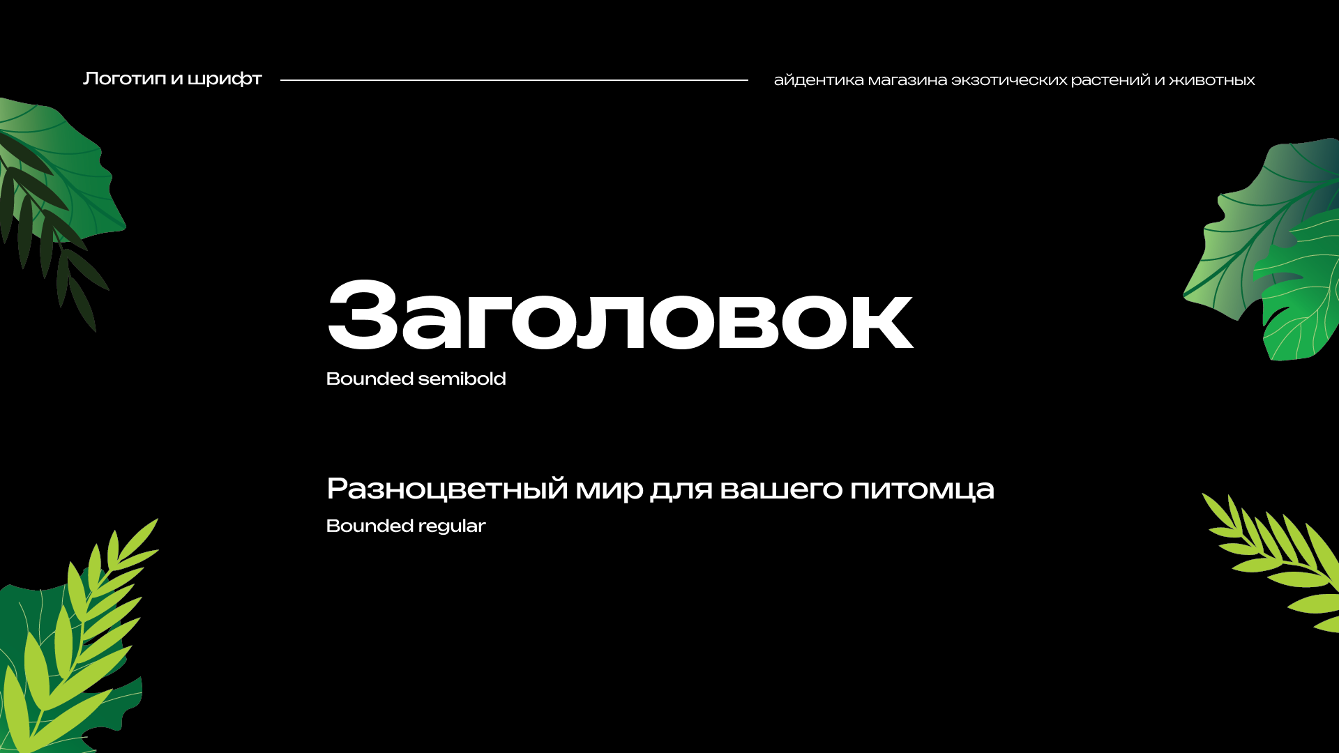 Айдентика магазина экзотических растений и животных — Изображение №4 — Брендинг на Dprofile