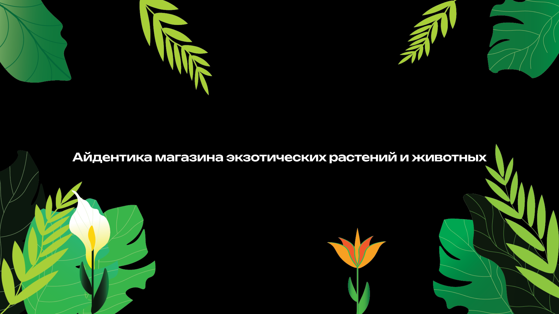 Айдентика магазина экзотических растений и животных — Изображение №2 — Брендинг на Dprofile