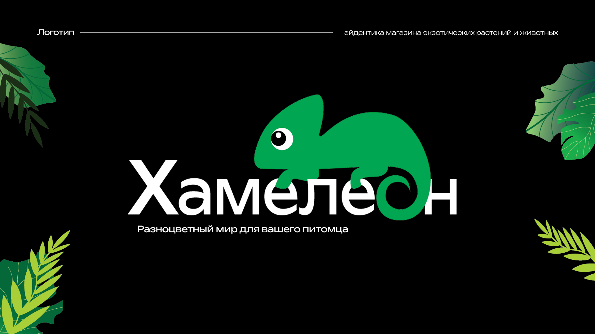 Айдентика магазина экзотических растений и животных — Изображение №5 — Брендинг на Dprofile