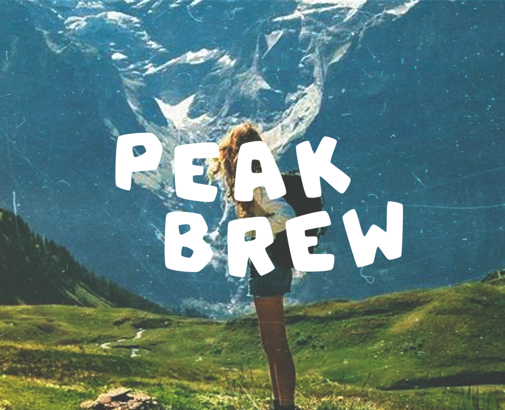 Кофейня Peak Brew / фирменный стиль / brand identity — Брендинг на Dprofile