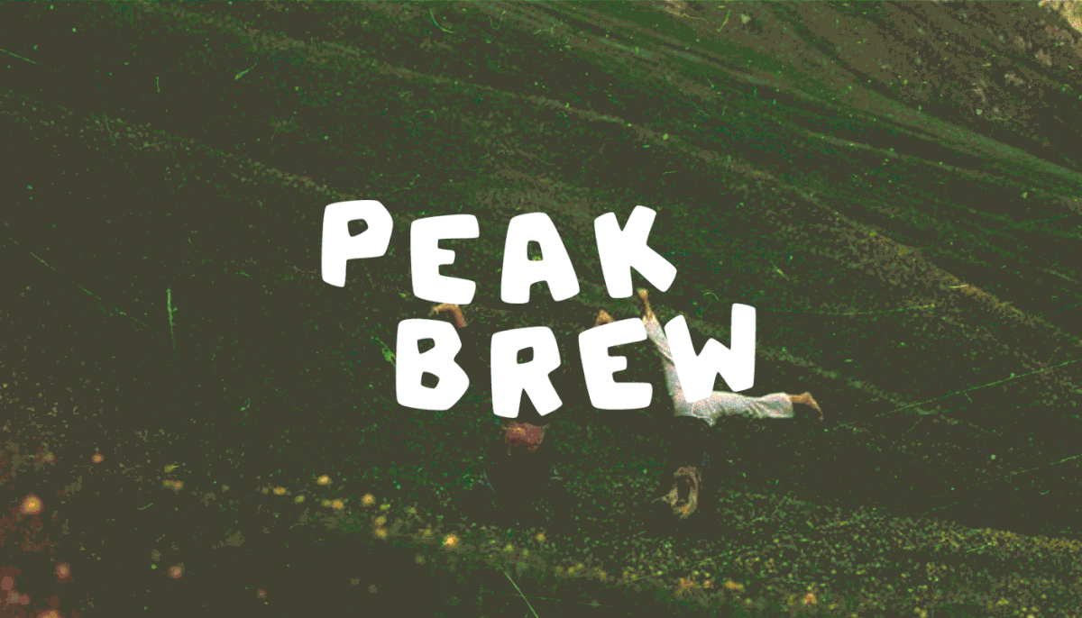 Кофейня Peak Brew / фирменный стиль / brand identity — Изображение №1 — Брендинг на Dprofile