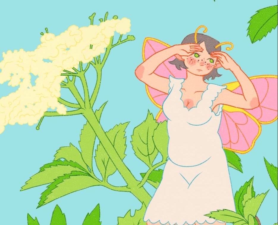 Серия иллюстраций "Феи" — Иллюстрация на Dprofile