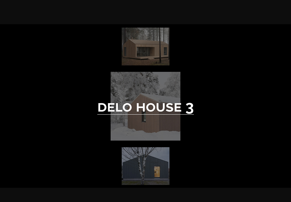 DELO DESIGN BRAND — Изображение №6 — Интерфейсы, Брендинг на Dprofile