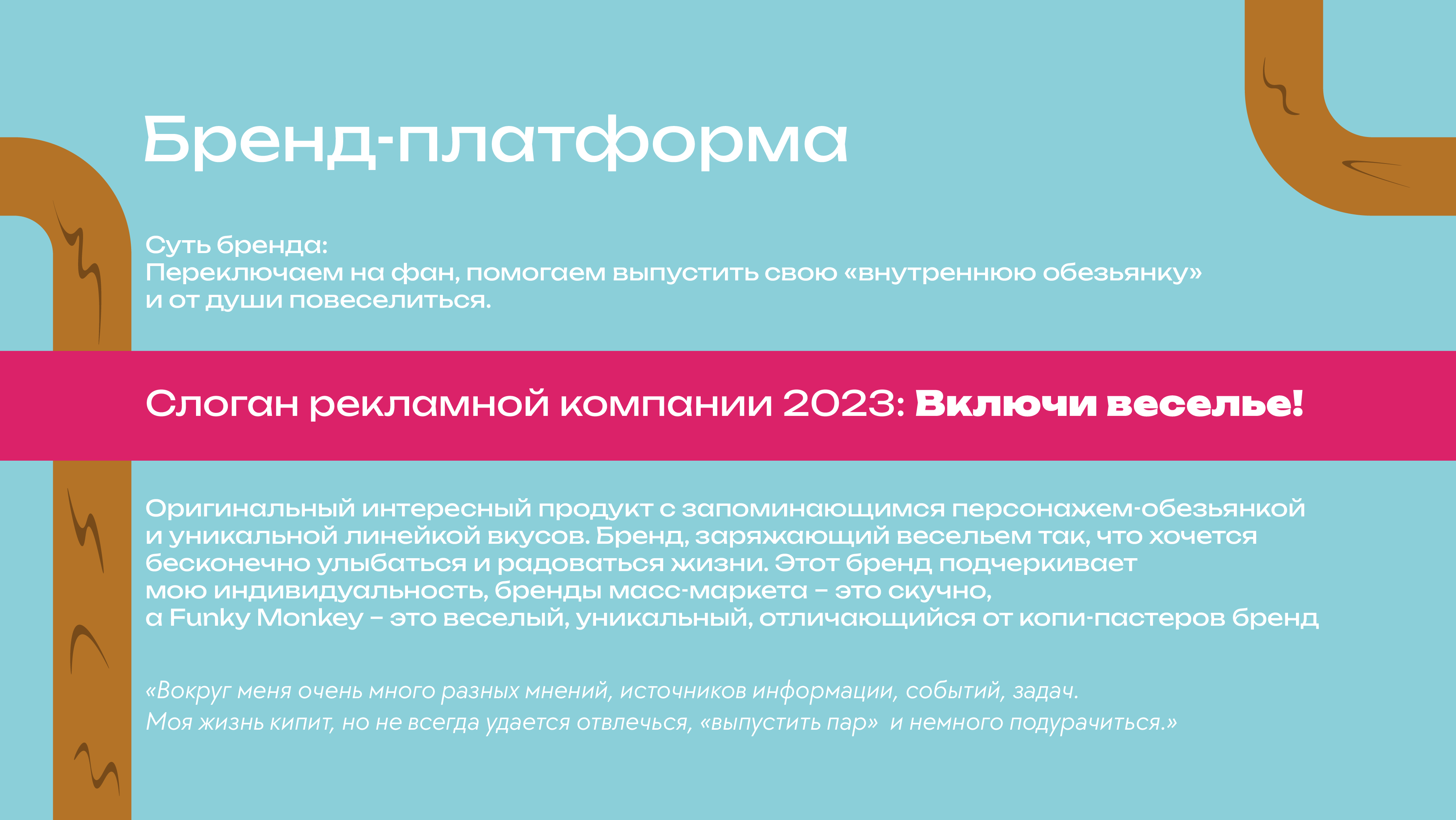 Funky Monkey Craazy — Изображение №3 — Интерфейсы, Брендинг на Dprofile