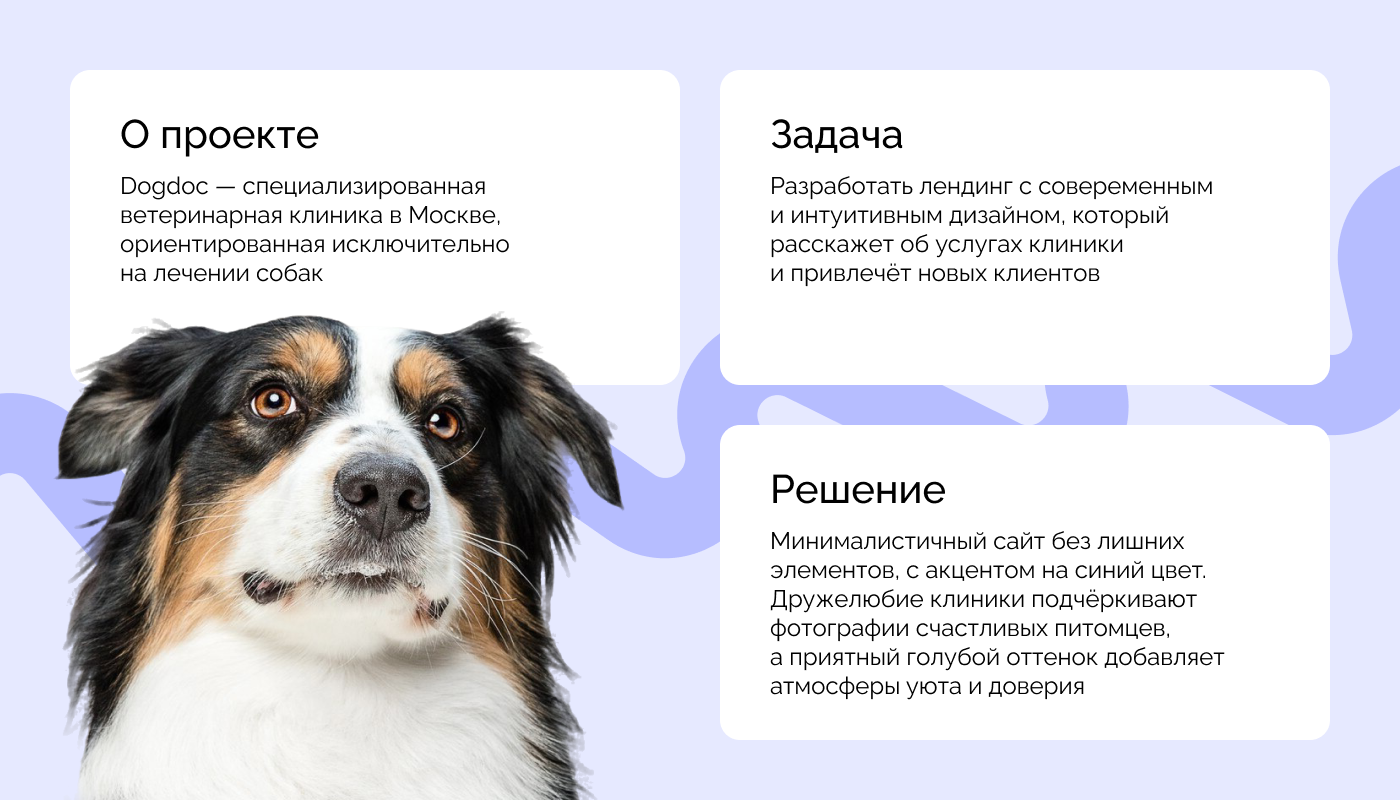 Ветеринарная клиника DogDoc | Landing page — Изображение №2 — Интерфейсы на Dprofile