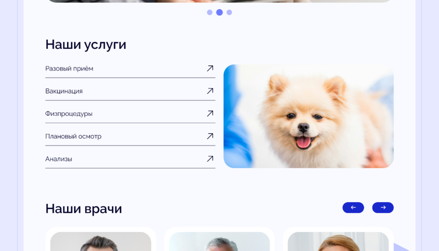 Ветеринарная клиника DogDoc | Landing page — Изображение №9 — Интерфейсы на Dprofile
