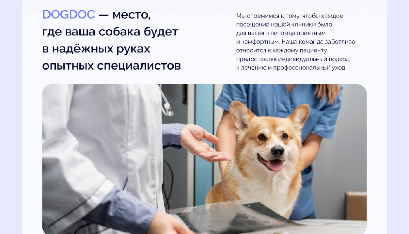 Ветеринарная клиника DogDoc | Landing page — Изображение №8 — Интерфейсы на Dprofile