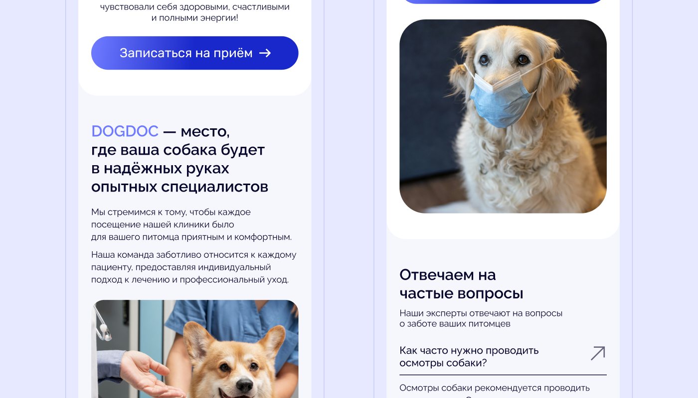 Ветеринарная клиника DogDoc | Landing page — Изображение №16 — Интерфейсы на Dprofile