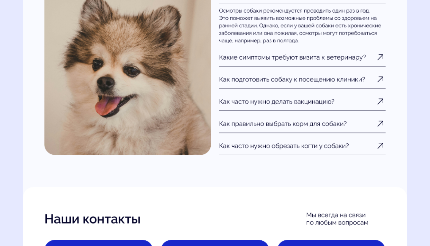 Ветеринарная клиника DogDoc | Landing page — Изображение №12 — Интерфейсы на Dprofile