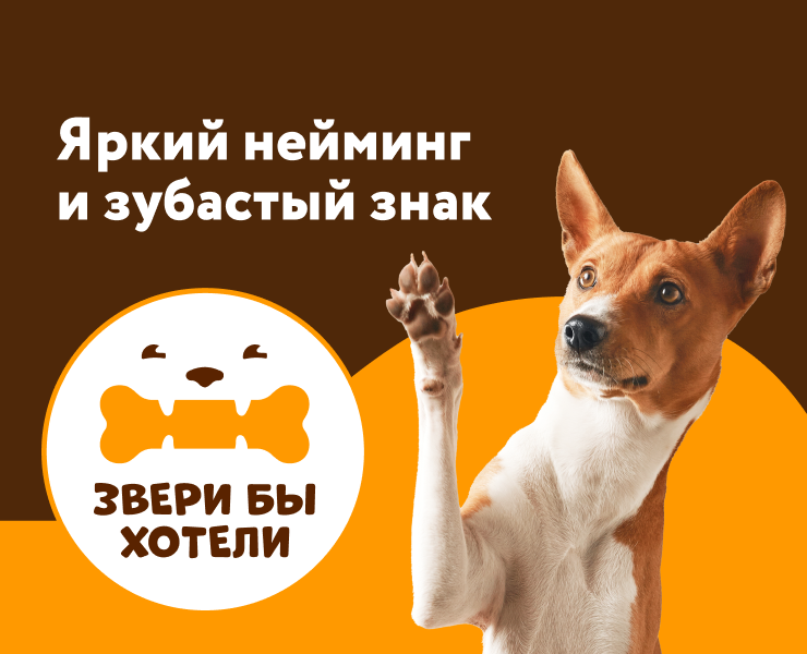 Яркий нейминг и зубастый знак — Брендинг на Dprofile