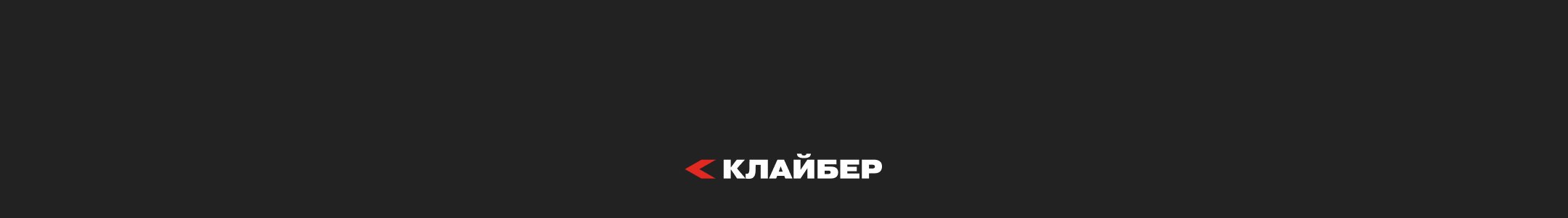 Мерч для IT-конфы — Изображение №10 — Брендинг на Dprofile
