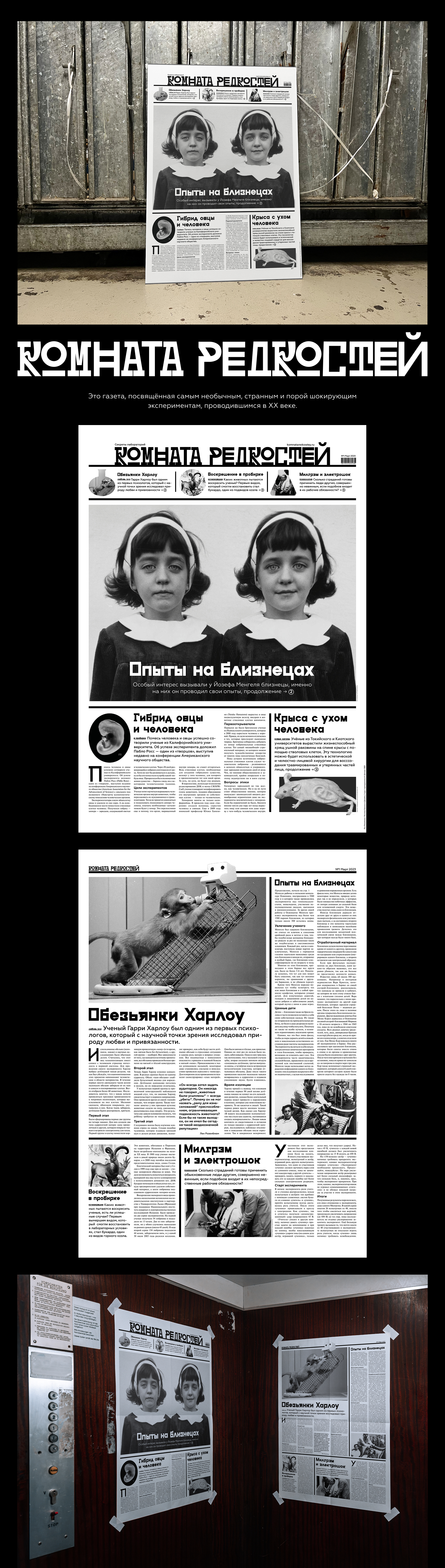 Газета «Комната редкостей» — Изображение №1 — Графика на Dprofile