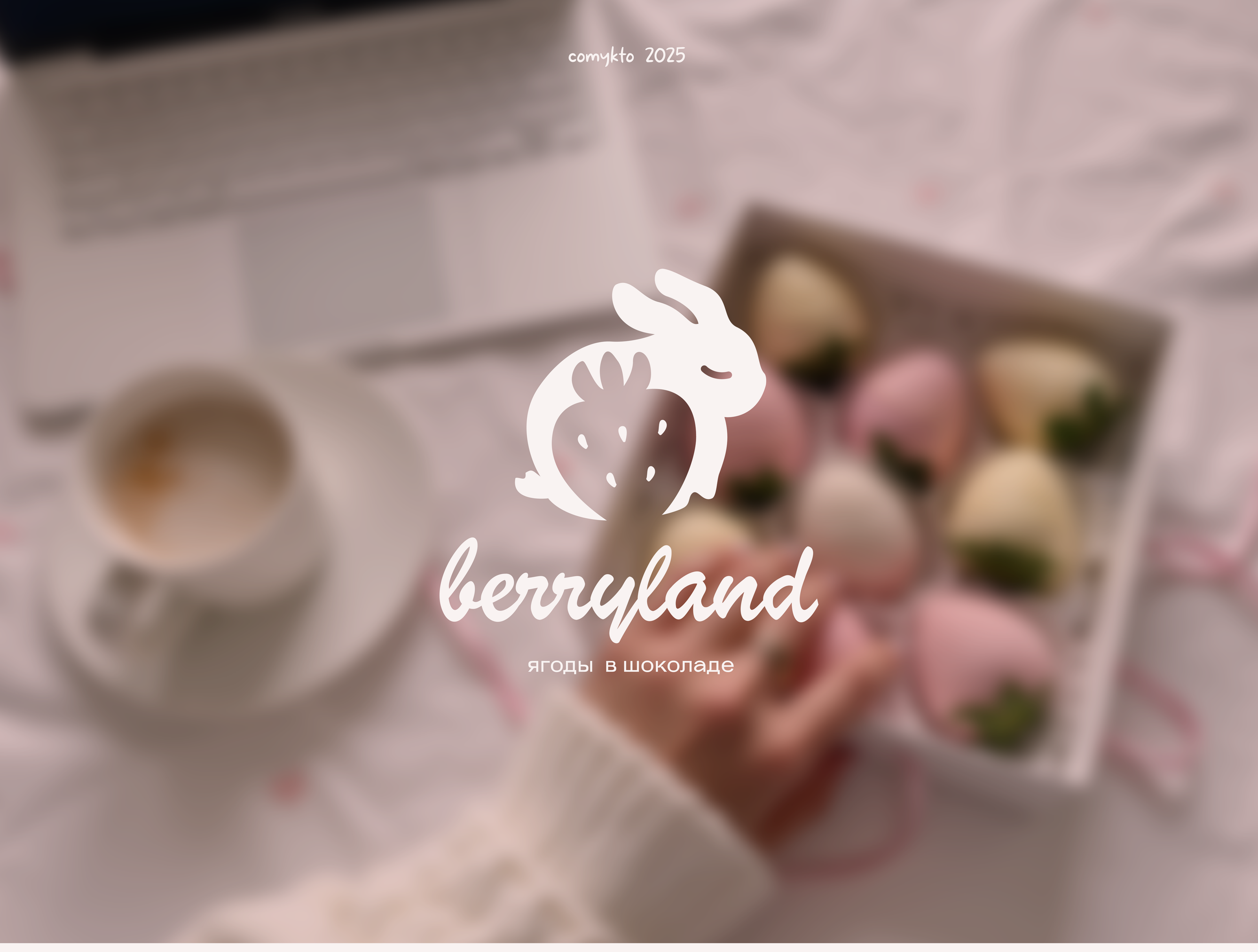 Berryland — Изображение №9 — Брендинг, Иллюстрация на Dprofile