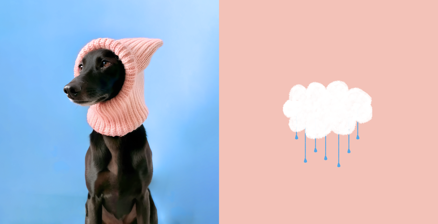 DoggyDoc — Изображение №4 — Брендинг, Иллюстрация на Dprofile