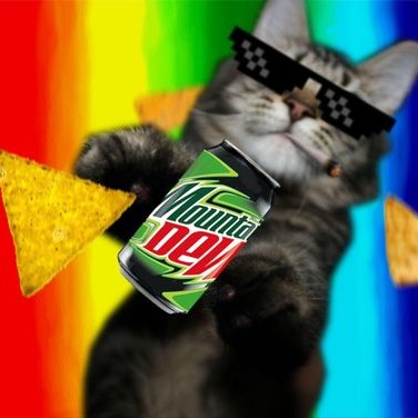 Аватар пользователя Sonya Naumova