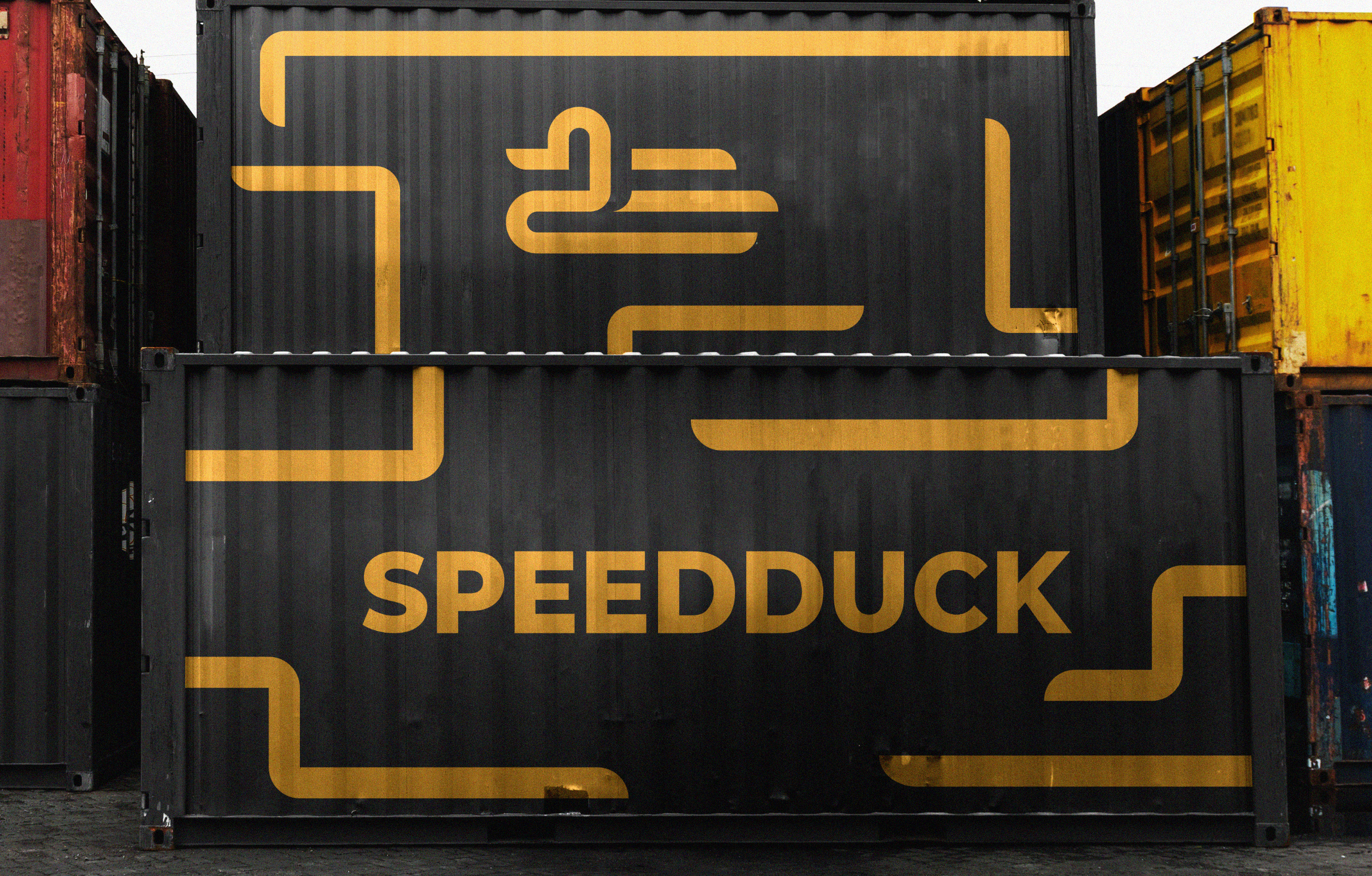 Speedduck | branding — Изображение №1 — Брендинг, Графика на Dprofile