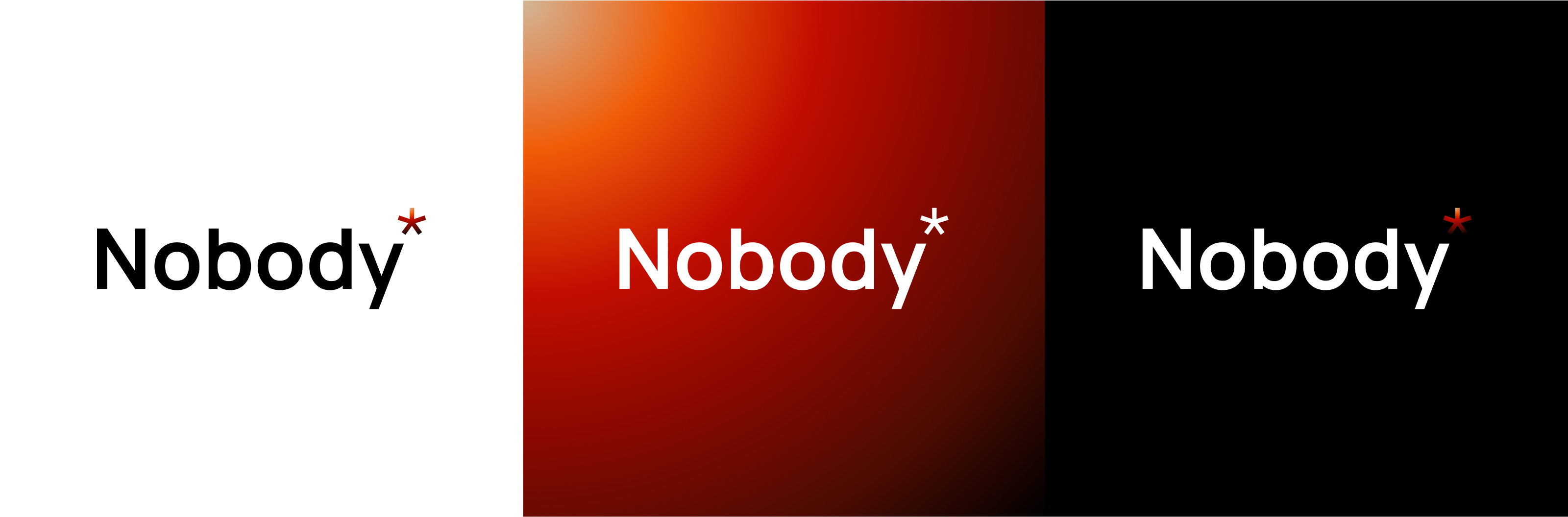 Nobody* | branding — Изображение №4 — Брендинг, Графика на Dprofile