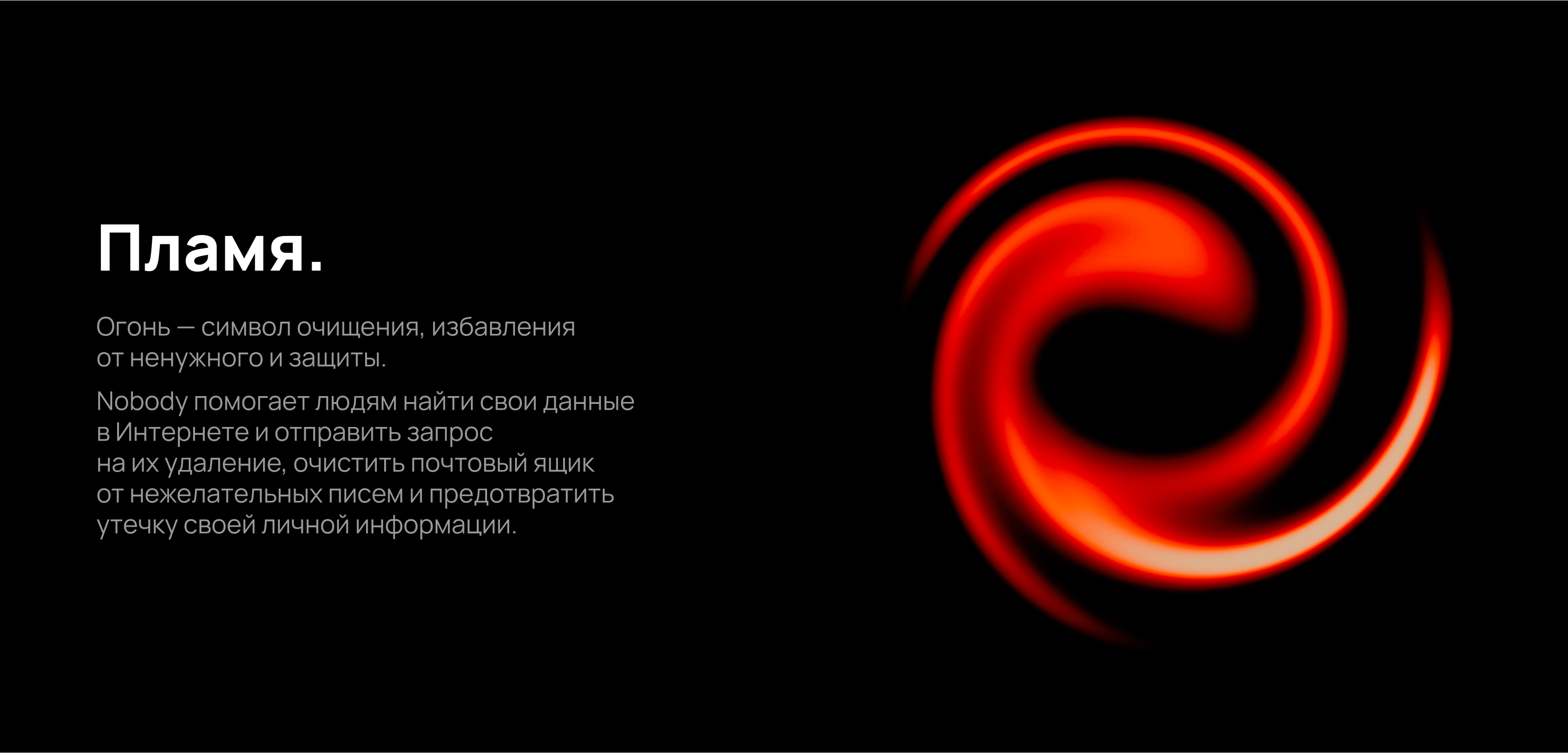 Nobody* | branding — Изображение №3 — Брендинг, Графика на Dprofile