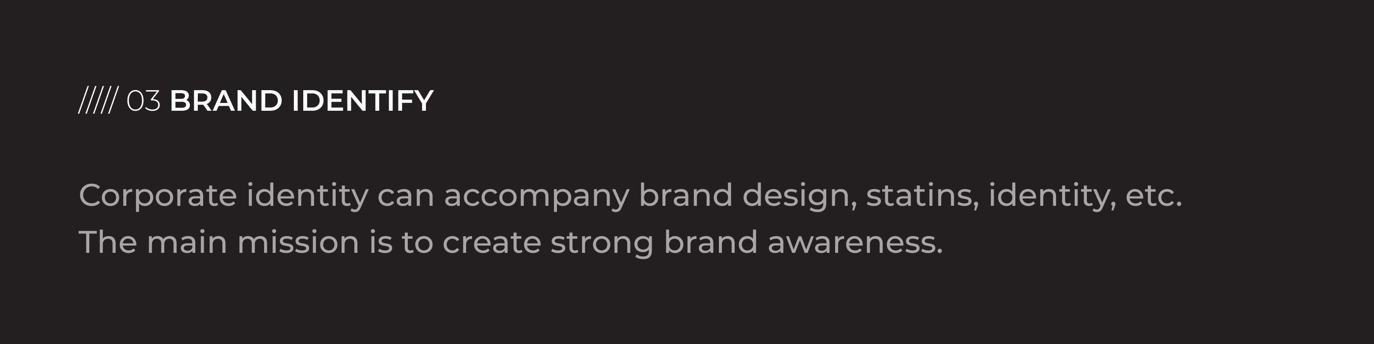 PBS case championship | Brand identify and Landing page — Изображение №17 — Интерфейсы, Брендинг на Dprofile