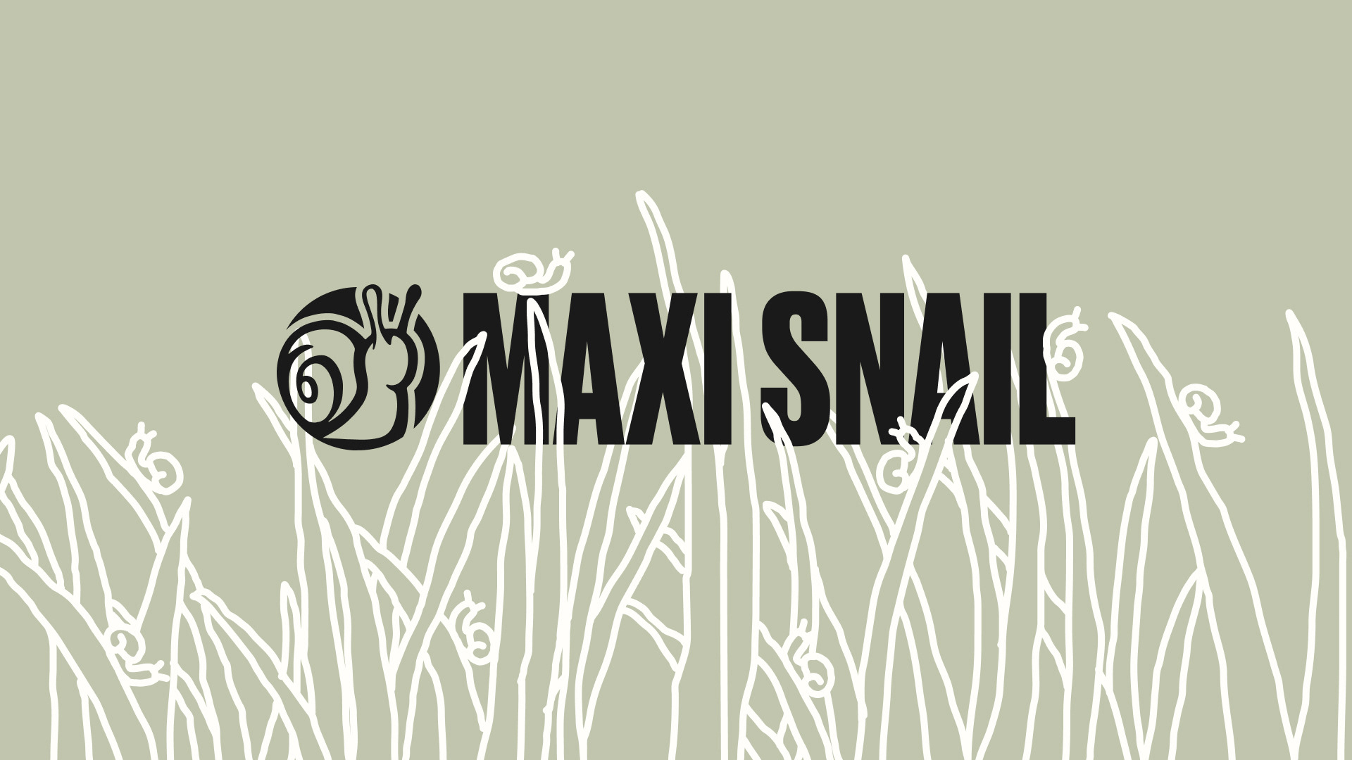 MAXISNAIL — branding and package — Изображение №1 — Брендинг, Графика на Dprofile