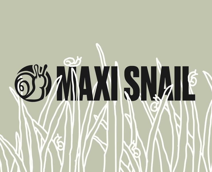 MAXISNAIL — branding and package — Брендинг, Графика на Dprofile