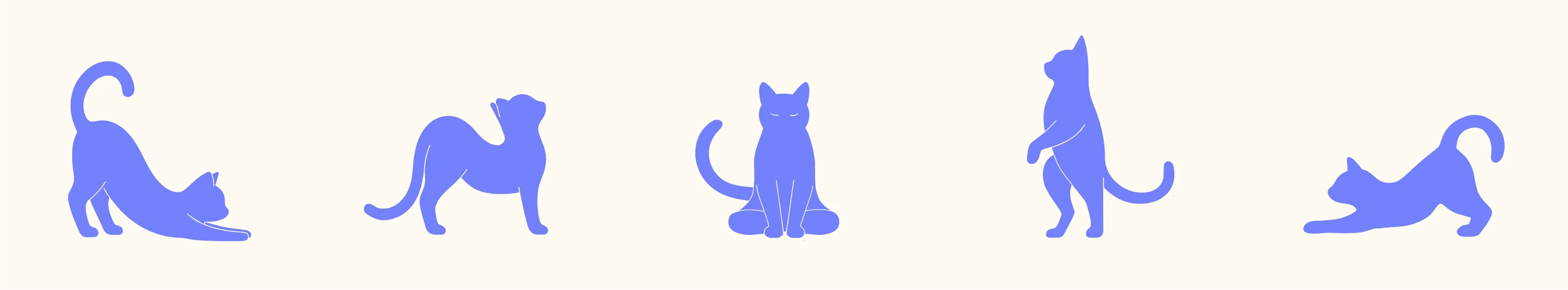 Mew Form / студия пилатеса / брендинг — Изображение №5 — Брендинг на Dprofile