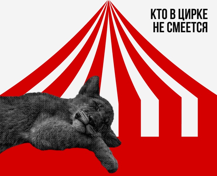 Соцпроект против животных в цирках — Интерфейсы, Иллюстрация на Dprofile