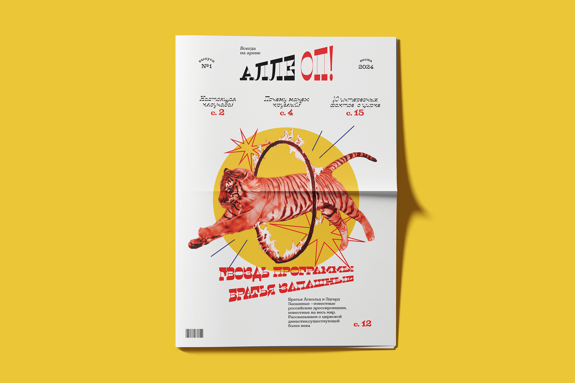 Дизайн детской газеты «Алле-Оп!» — Изображение №2 — Графика на Dprofile