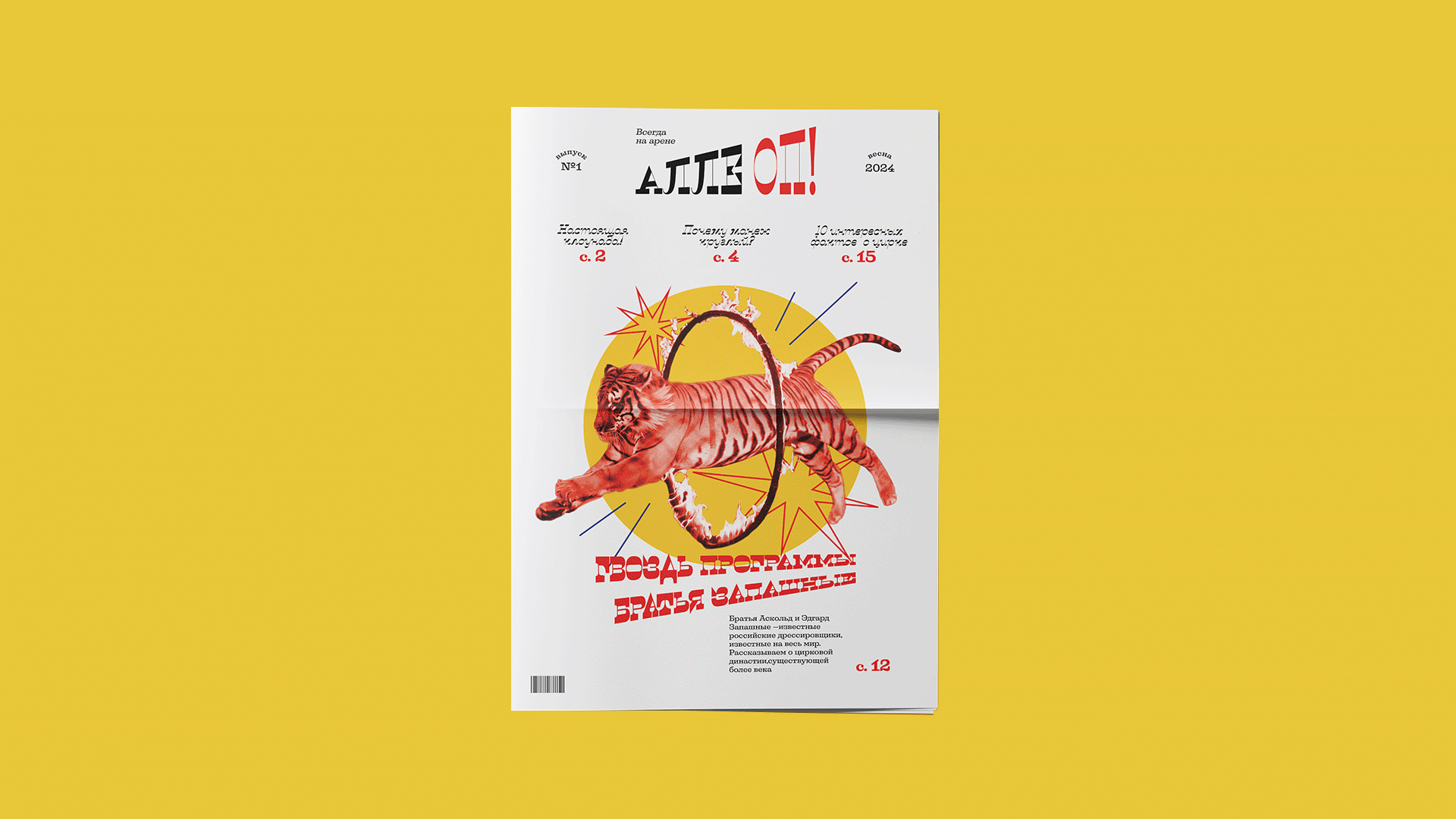 Дизайн детской газеты «Алле-Оп!» — Изображение №1 — Графика на Dprofile