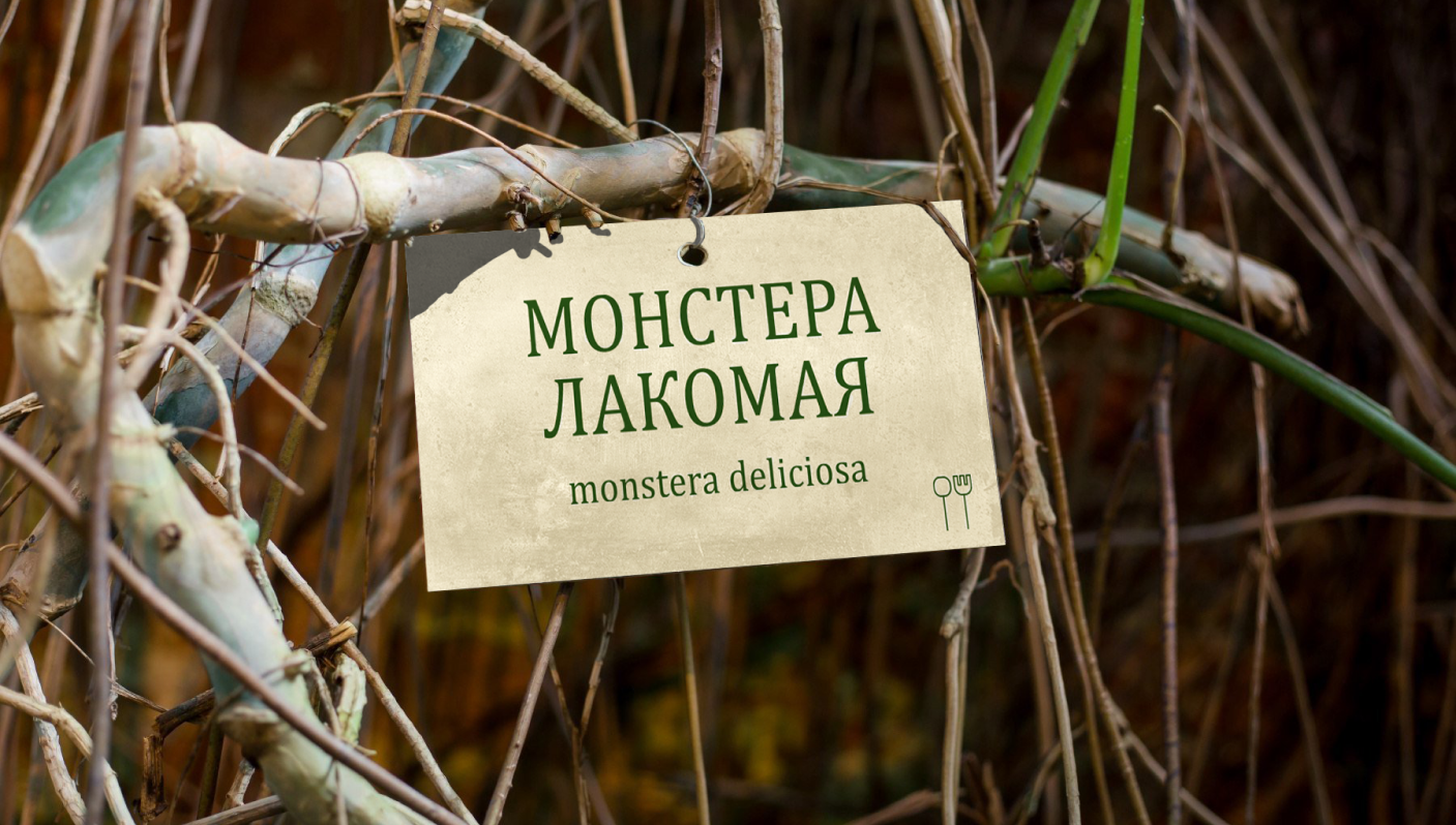 Айдентика ботанического сада «Аптекарский огород» — Изображение №10 — Брендинг на Dprofile
