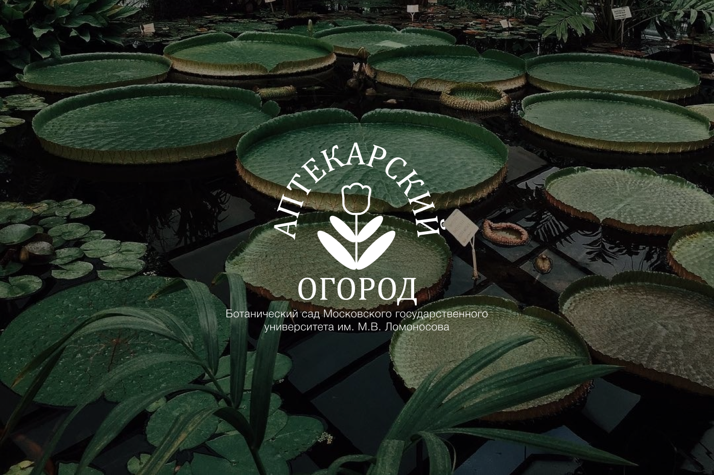 Айдентика ботанического сада «Аптекарский огород» — Изображение №1 — Брендинг на Dprofile